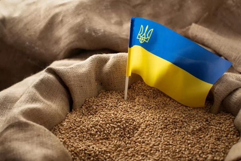 Как се промени износът на селскостопански продукти от Украйна и неговата структура през 2023 г.?