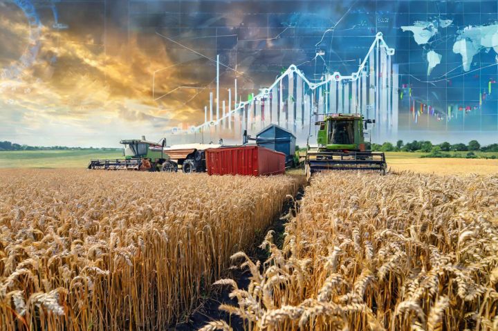 Какво да очакват земеделците през 2024 г: Пазари, Украйна, цени…