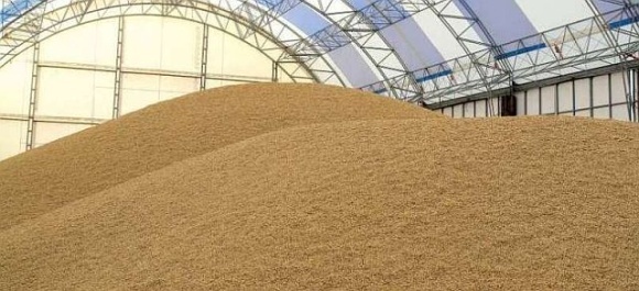Швейцария ще изгради нови складове за зърно в пристанище Измаил
