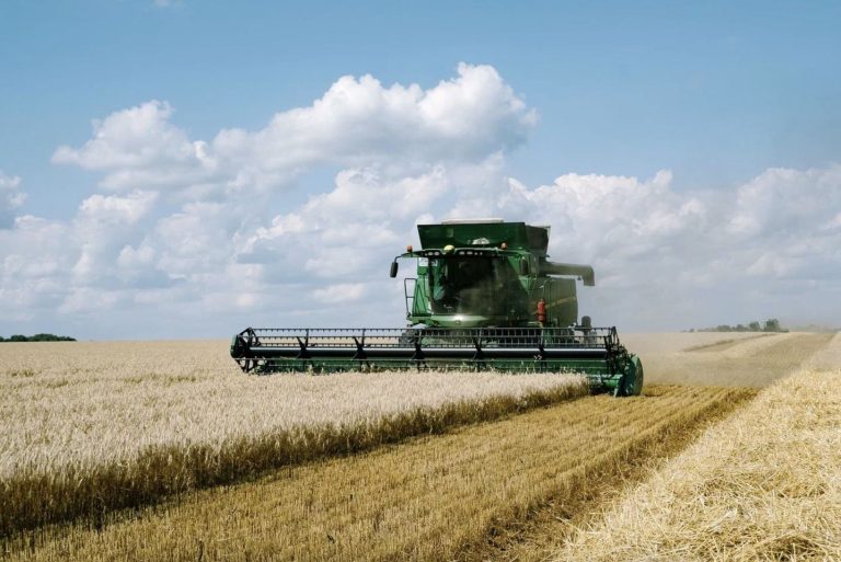 SovEkon увеличи прогнозата за реколтата от пшеница в Русия през 2024 г. до 94 милиона тона
