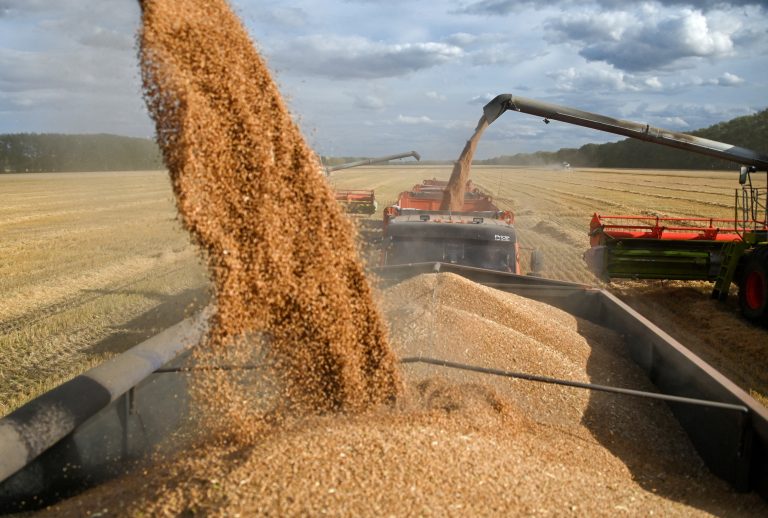 SovEkon: Експортните цени на руската пшеница паднаха под 200 долара за тон