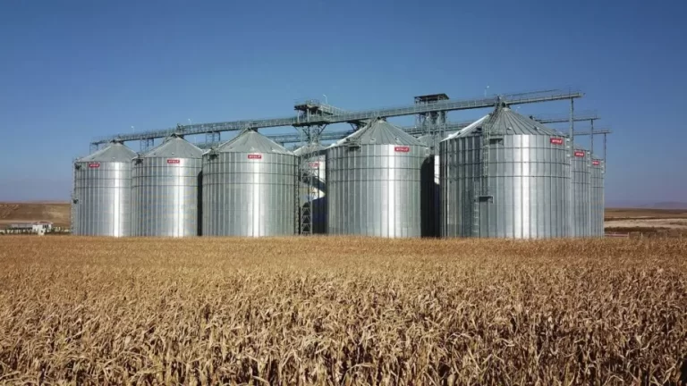 КЗК препоръча засилен мониторинг на пазара на зърно и маслодайни