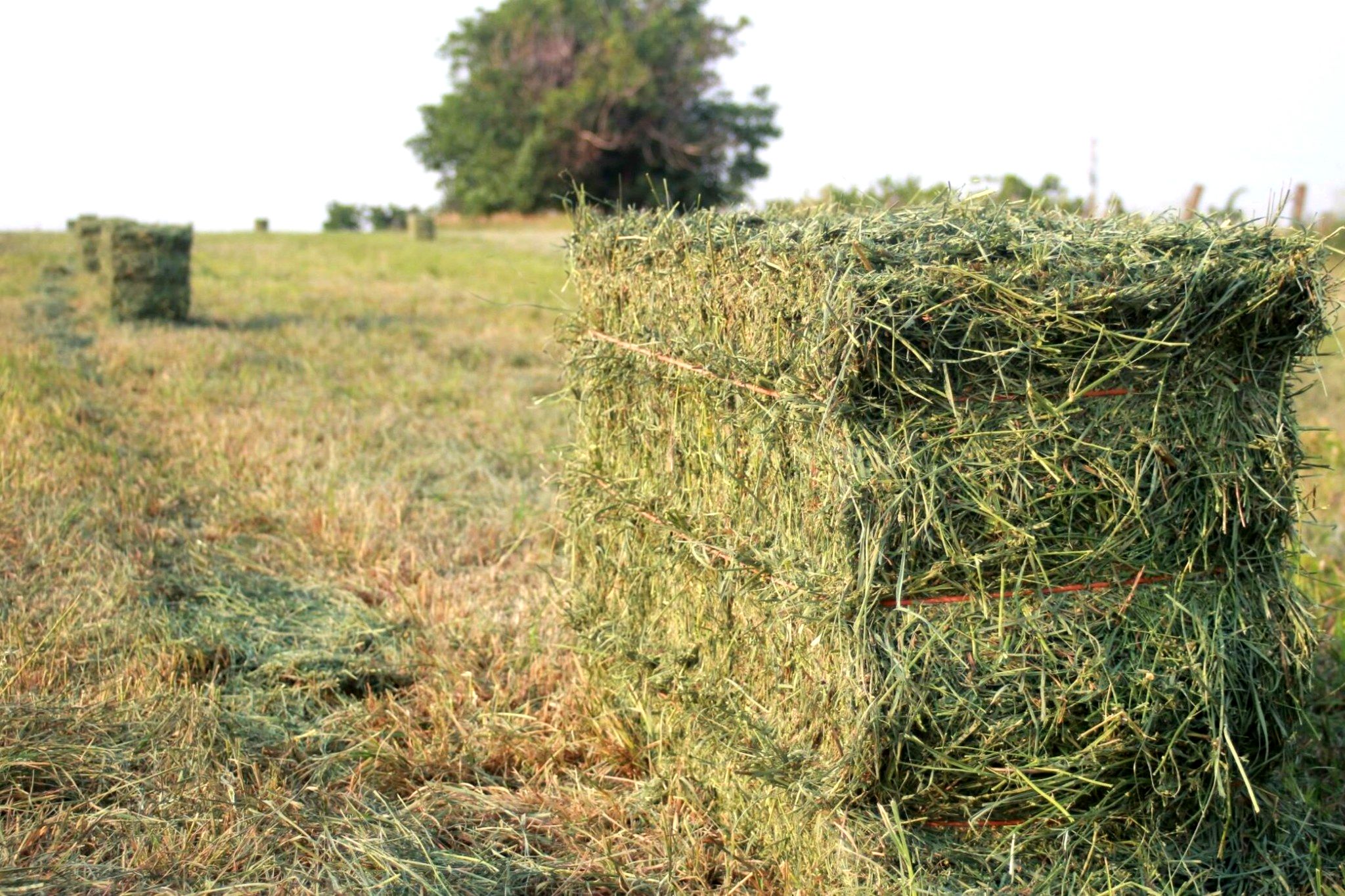 optimized_hay_bales