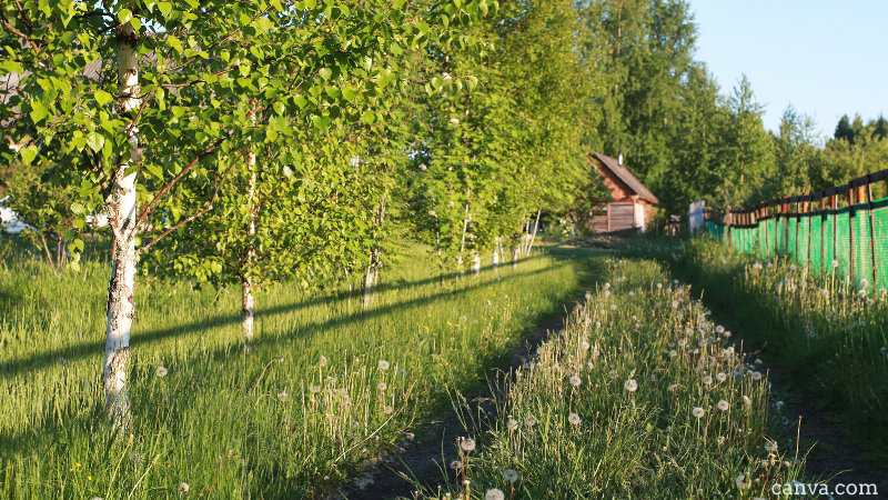 promeni-zelena-arhitektura-osp-evropa
