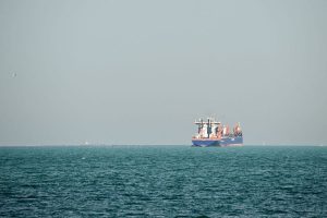 Краят на конфликта с Иран свали цените на зърното точно преди българската жътва. Какво означава това за пшеницата, торовете и решенията на фермерите през следващите седмици?