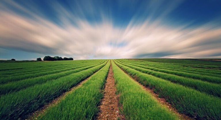 Pan-European agricultural insurance facility: какво ще завари общоевропейският застрахователен инструмент в България